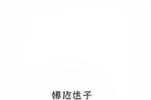 《评论区置顶更换记录》列表截图封面